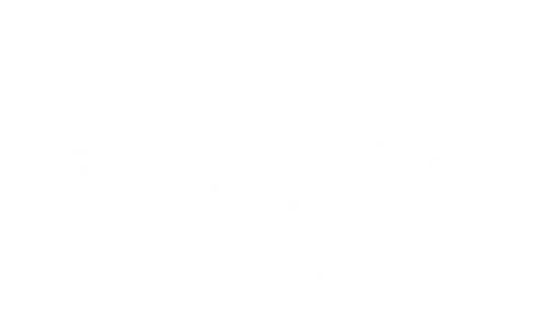 Polestarsuomi logo 2