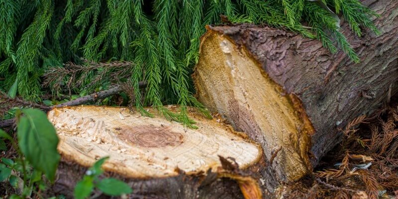 Moottorivinssi etsinnässä Polttomoottori vai akku